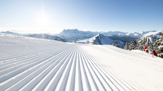 R51l8160 Hd 1920px Web Evoq