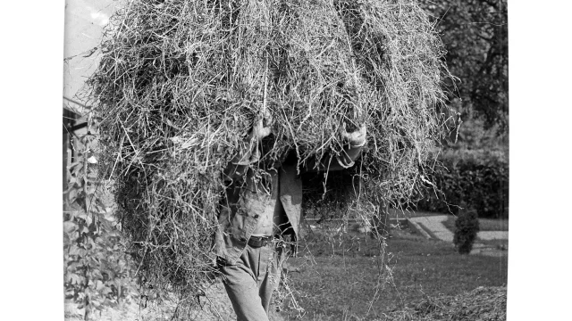 2a 1 Coorig‚e Rotated