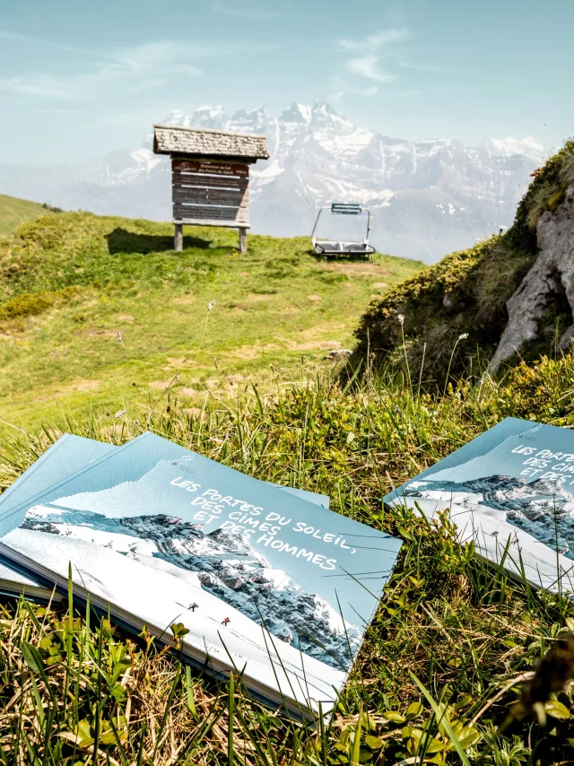 Adobe Express File 3