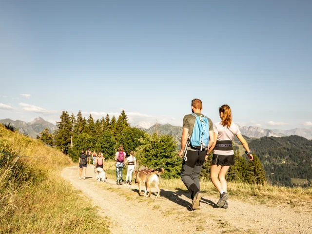 2022 07 21 Cani Rando Ete Les Gets La Patte Nordic Cplaurabureau 71 Ld