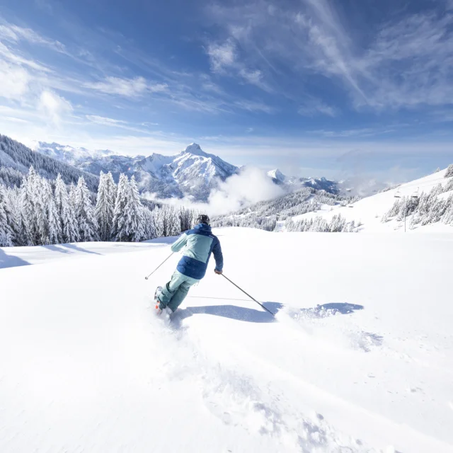 Photographies de ski et paysages du secteur de Braitaz, La Chapelle d’Abondance (Portes du Soleil, Vallée d’Abondance). Mont Grange enneigé, sapins sous la neige, ambiance First Track avec pistes immaculées.