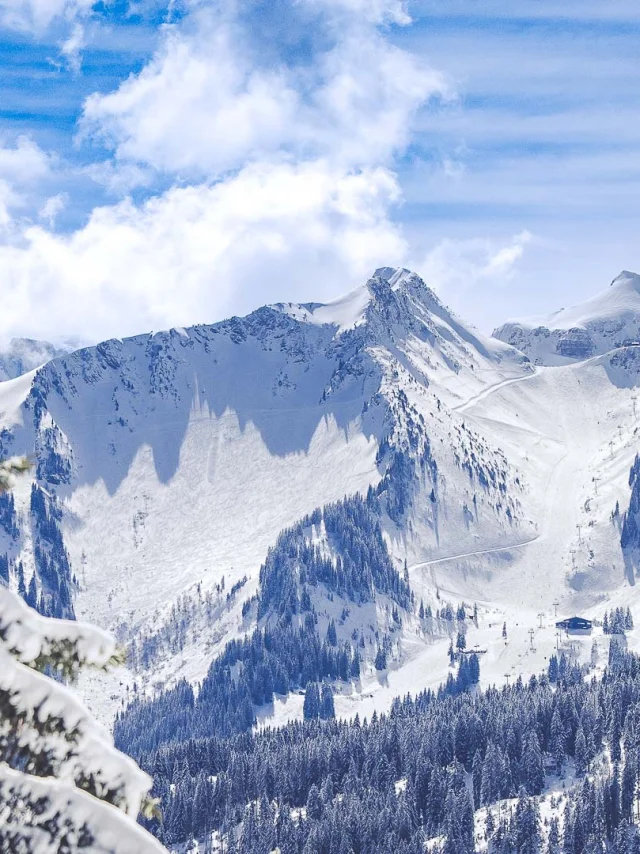 Sylvain Cochard 20230315 R5i 5482 Web