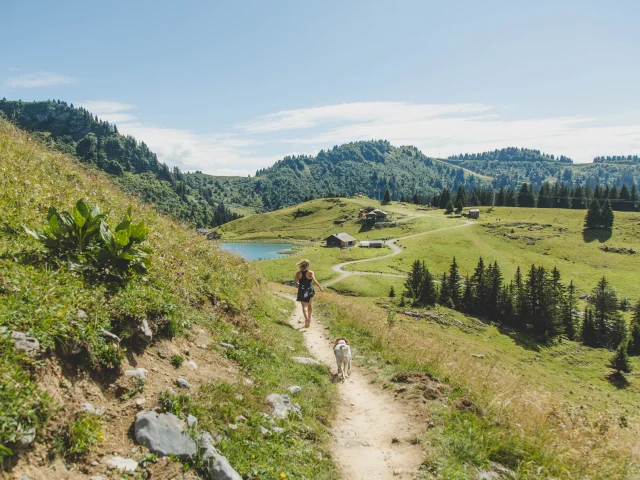 5. Lac De Nyon Chien Rando Vtl Foto 1