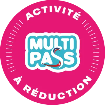 Multipass Sticker Activite A Reduction