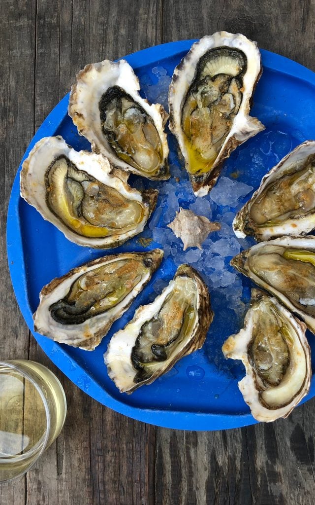 Dégustation d'huîtres de Leucate