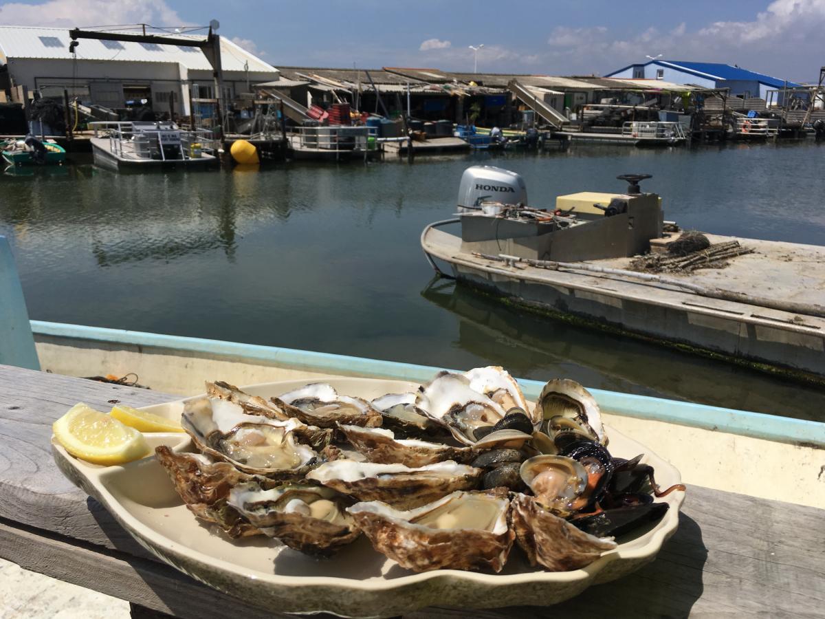 Leucate, toute une histoire ! Office de Tourisme de Leucate