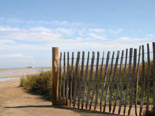 La Franqui Les Coussoules Ganivelles