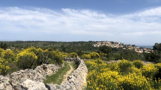 Plateau Leucate Nature