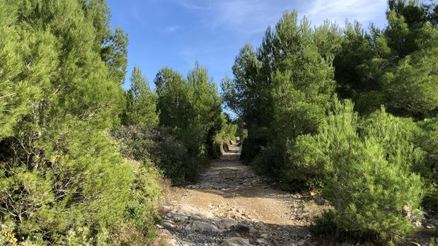 Sentier de randonnée balisé - Plateau de Leucate