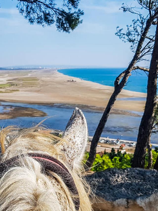 Balade à Cheval