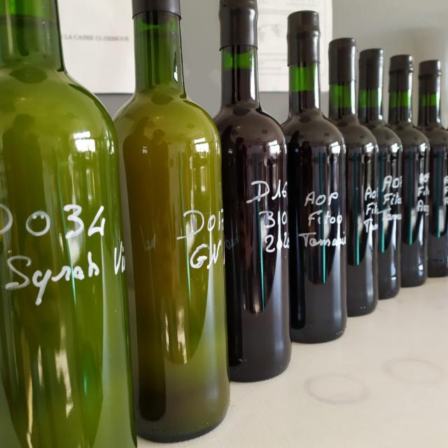 Vin Cave Leucate