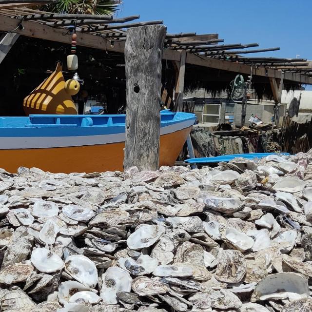 Instagram #portleucate