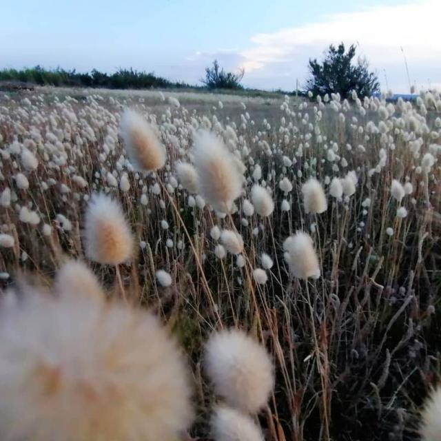 Instagram #leucate