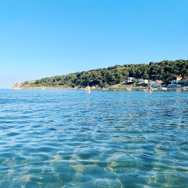 Instagram #lafranqui