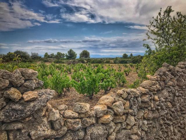 Instagram #leucate