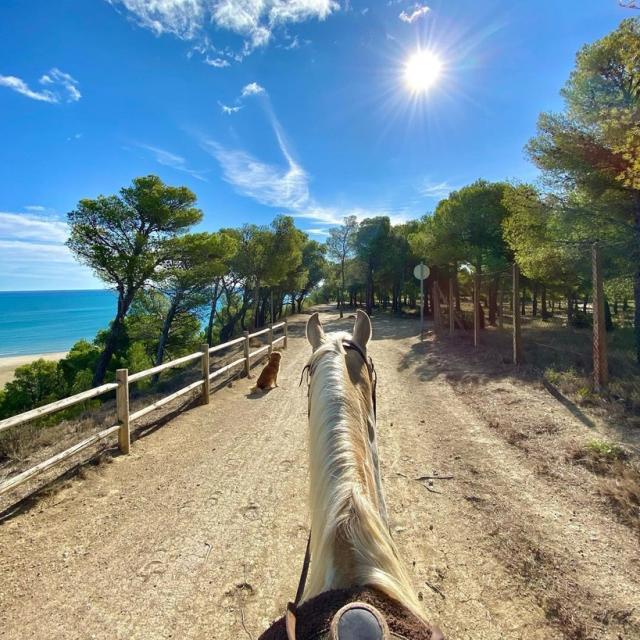 Instagram #leucate