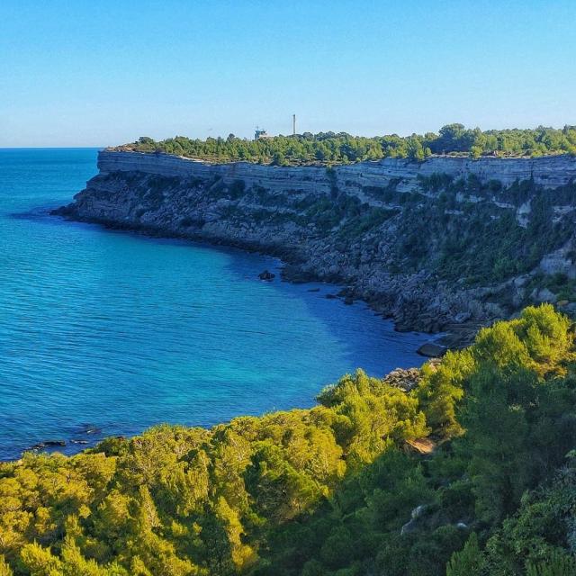 Instagram #lafranqui