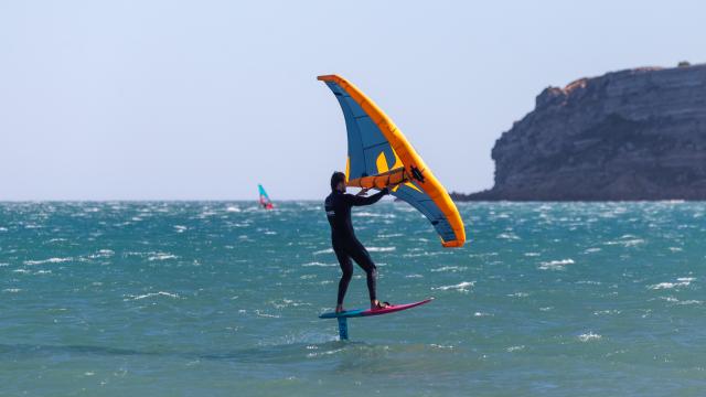 Wing La Franqui Falaise