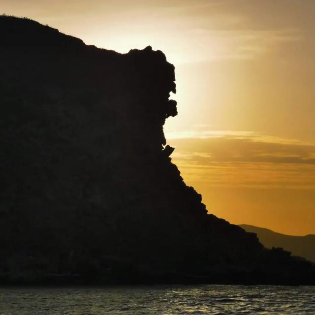 Instagram #lafranqui