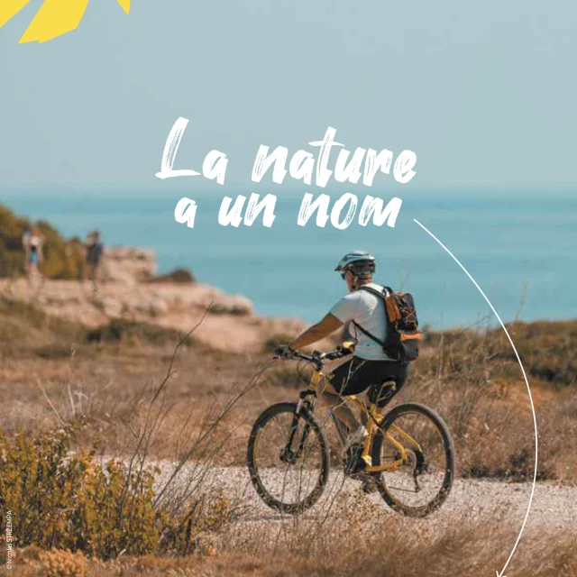 Guide Velo