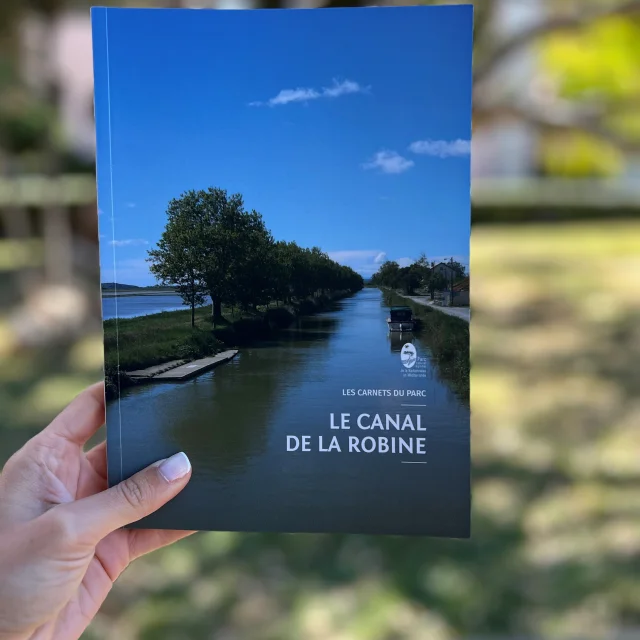 Le Canal De La Robine