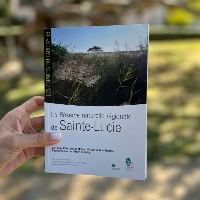 Pnr Reserve Naturelle Sainte Lucie