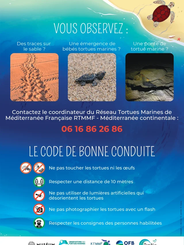 Affiche Obstraces 2024 Med Continentale A3 Page 0001