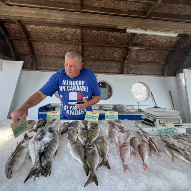 Marché aux poissons