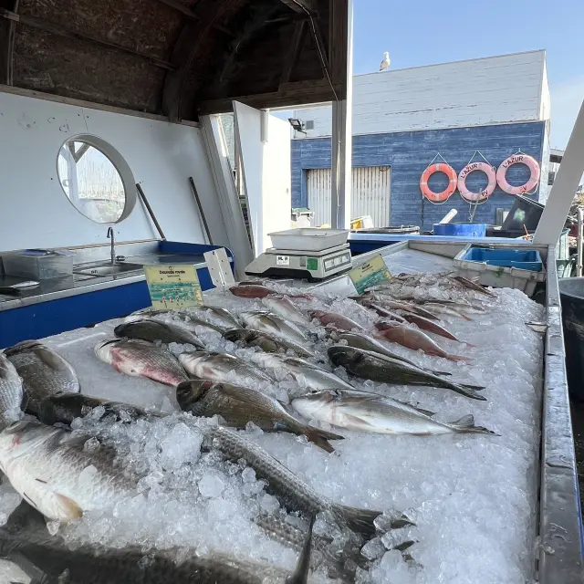 Marché aux poissons Port Leucate