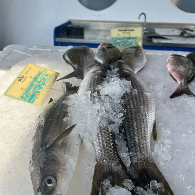 Marché aux poissons Port Leucate