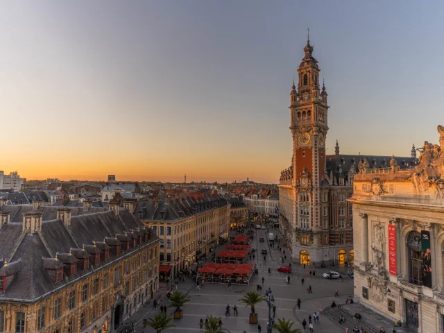 Lille Automne Laurent Javoy
