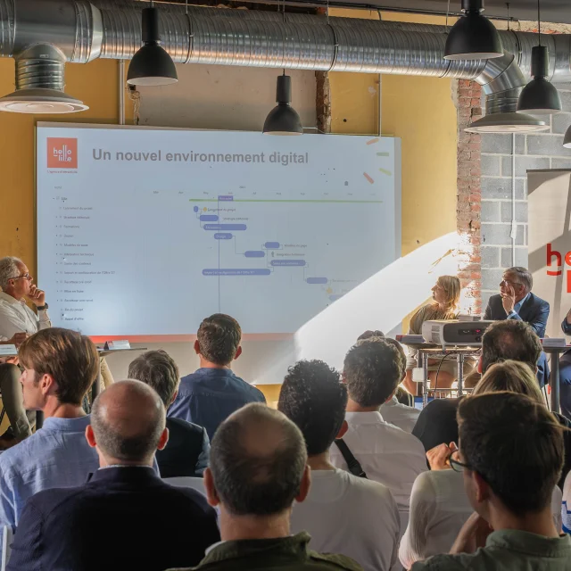 Ag Hallo Lille Laurent Javoy