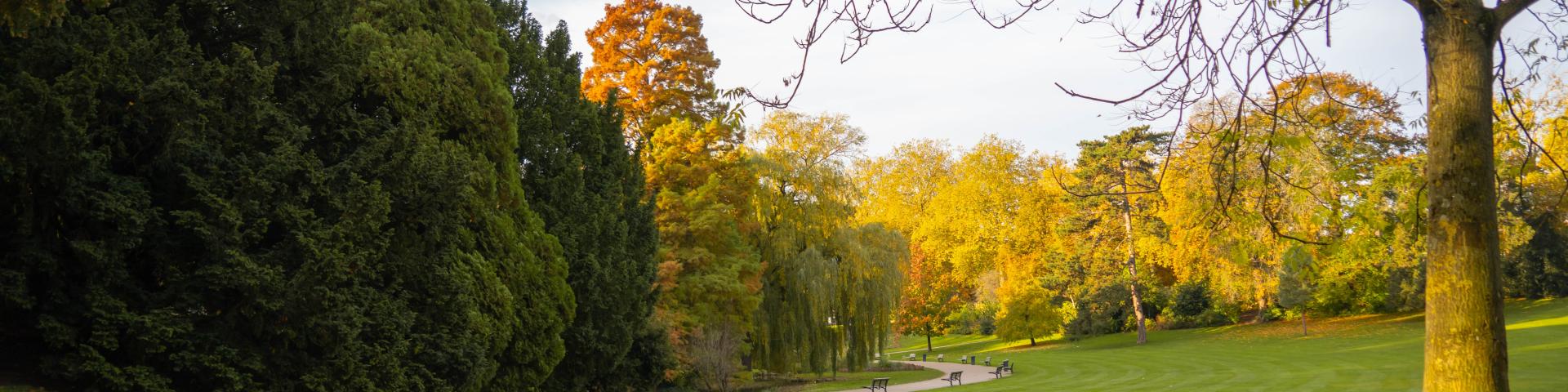 Barbieux Park