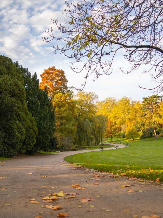 Parc Barbieux