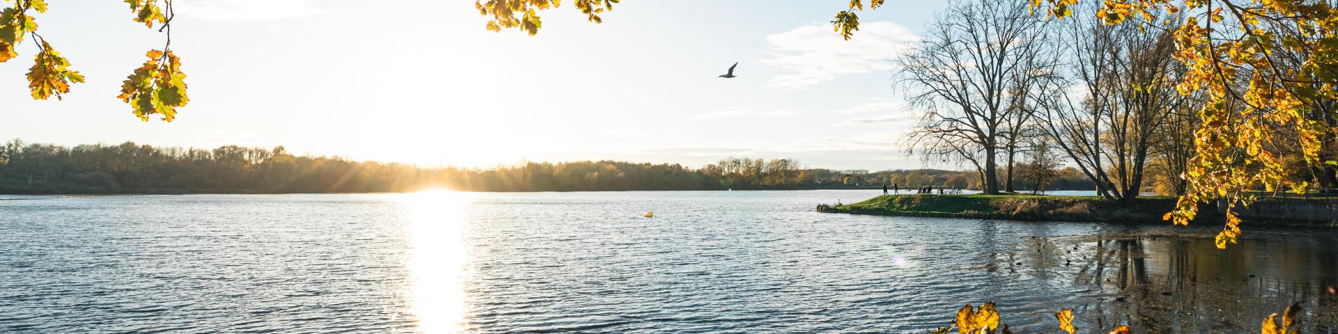 Parc Du Heron Mathieu Lassalle