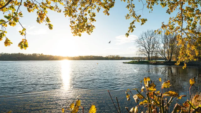 Parc Du Heron Mathieu Lassalle