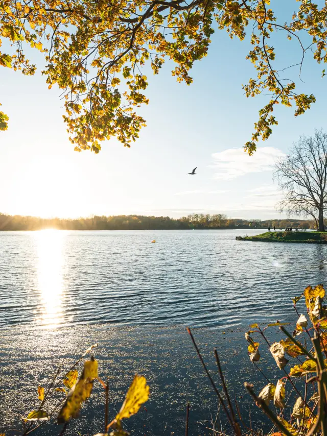 Heronpark Mathieu Lassalle