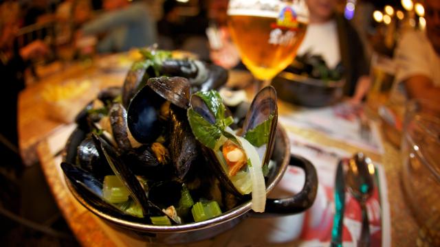 Plat de moules frites et une bière