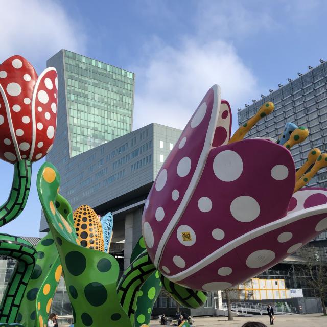 Les tulipes de Shangri La à Euralille
