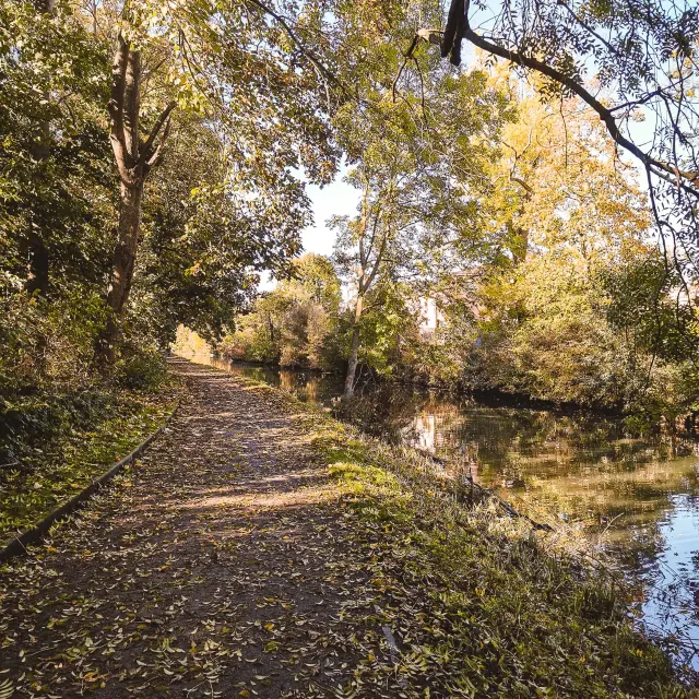 Canal De Roubaix Martin Vangaeveren