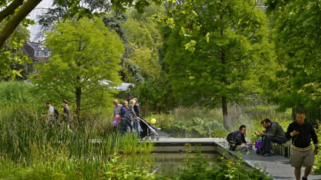 Giant's Garden