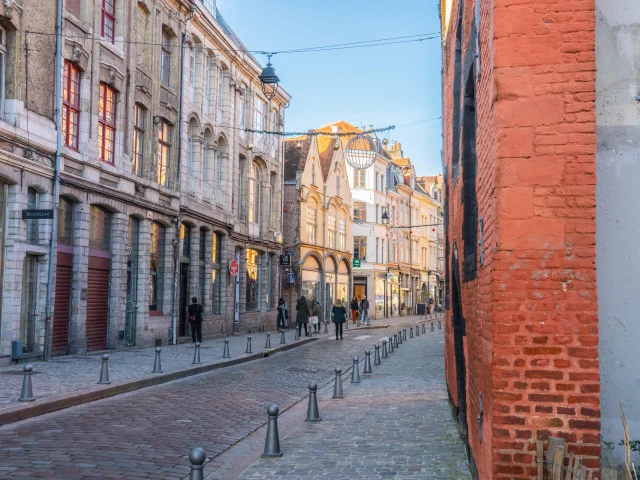 Lille February 2024 Laurent Javoy Hello Lille