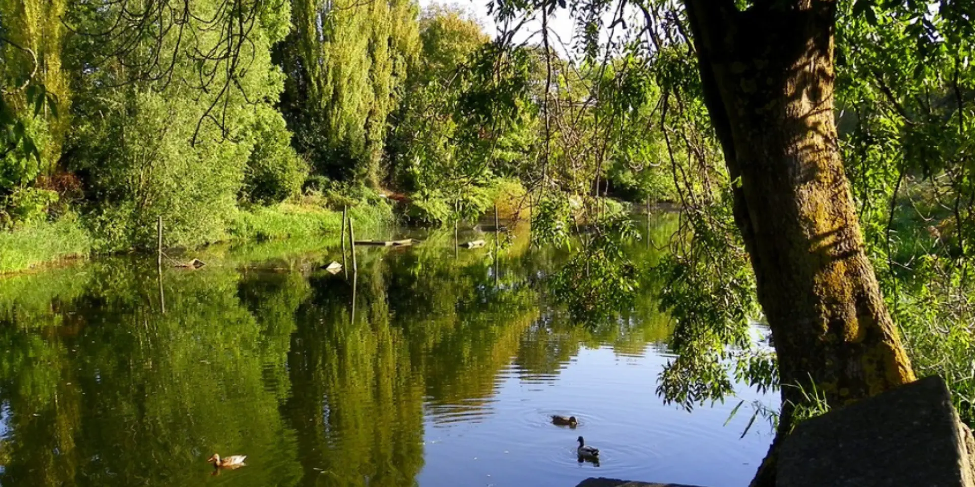 Nature Sauvage Armentierois Credit O2 Secotine