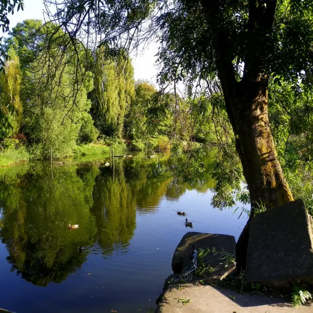 Nature Sauvage Armentierois Credit O2 Secotine