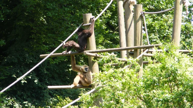 Zoo De Lille Lille Tourisme 13