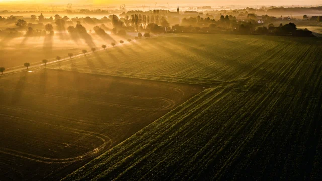 lever de soleil dans les weppes