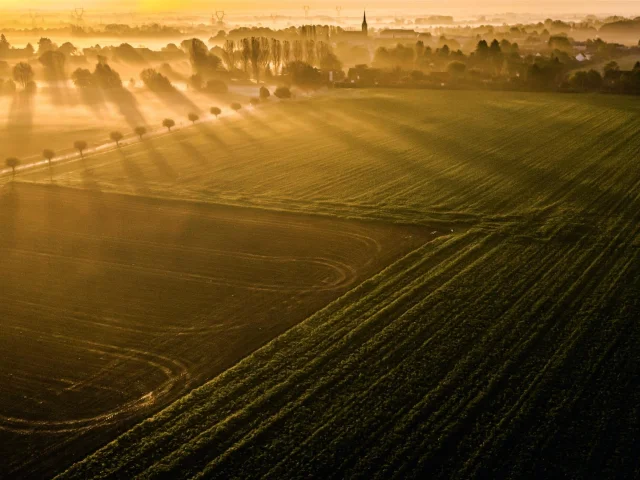 lever de soleil dans les weppes
