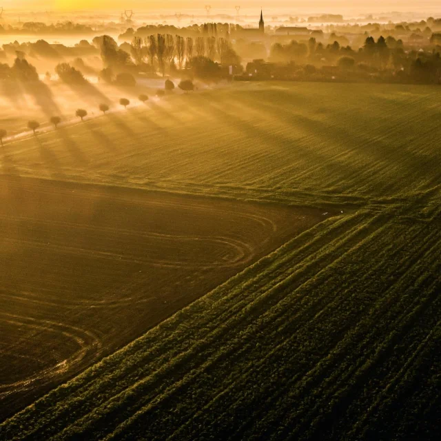 lever de soleil dans les weppes