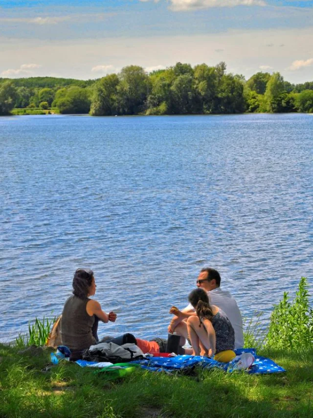 Une famille pique-nique au bord d’un lac entouré d’arbres sous un ciel bleu d’été.
