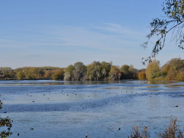 20191119 Lac Du Heron 01